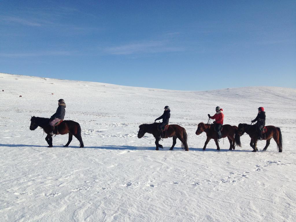 منزل الضيف Nalayh  في Nomad Horse Camp المظهر الخارجي الصورة