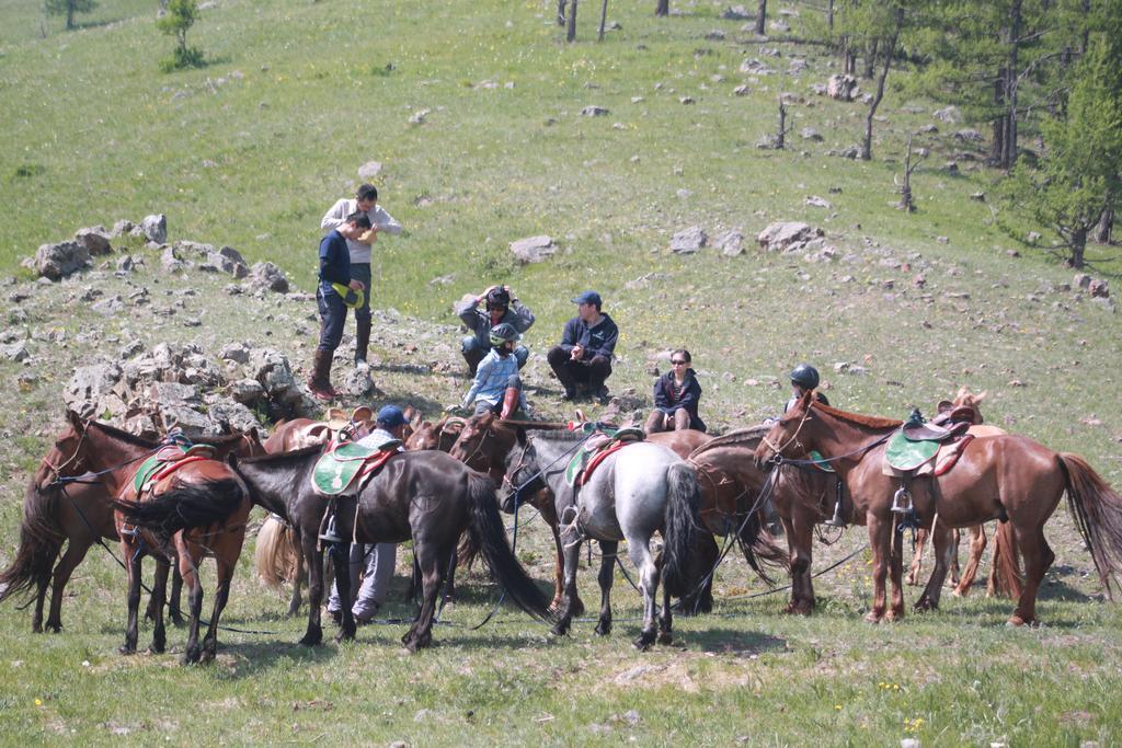 منزل الضيف Nalayh  في Nomad Horse Camp المظهر الخارجي الصورة