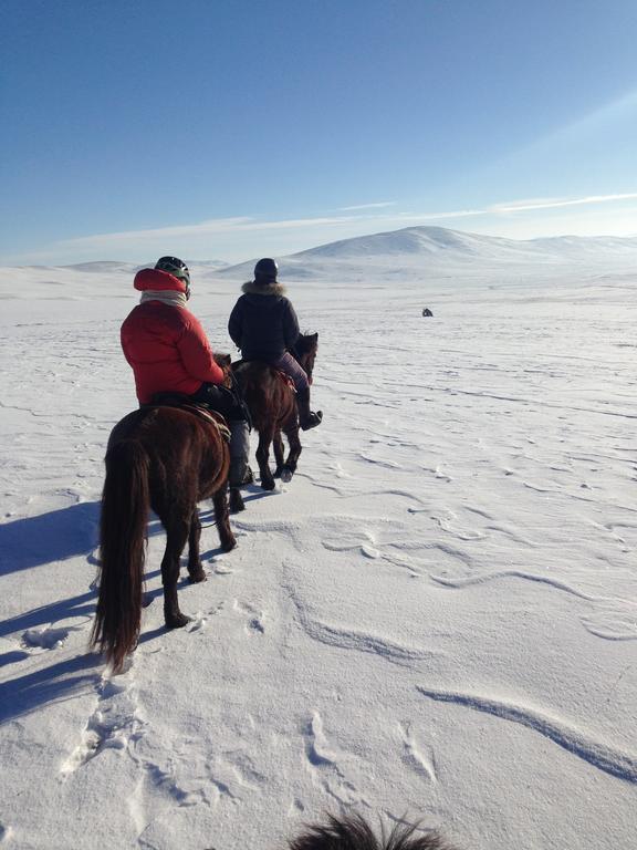 منزل الضيف Nalayh  في Nomad Horse Camp المظهر الخارجي الصورة